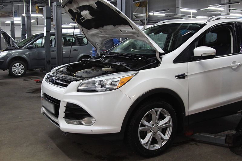 ������ ���� Ford Escape
