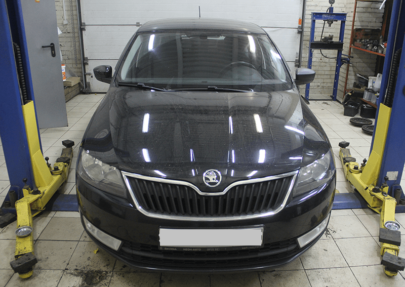 ������ ���� Skoda Fabia