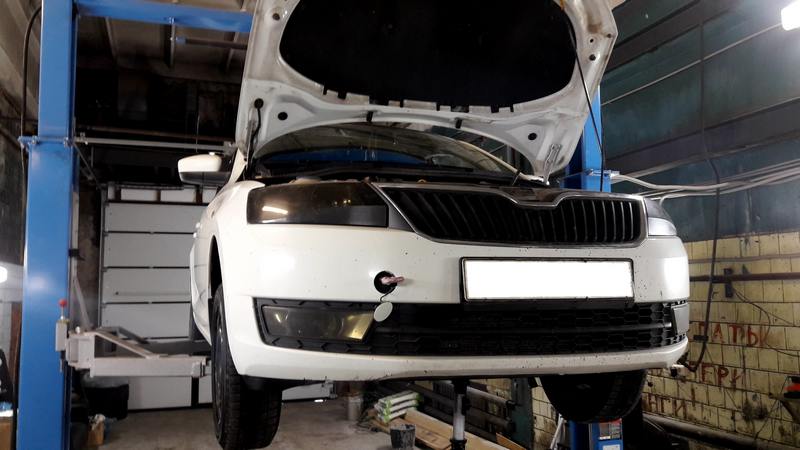 ������ ���� Skoda Rapid