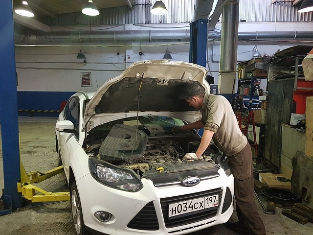 ������ ���� Ford Focus