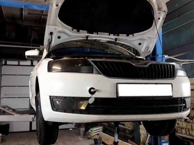 ������ ���� Skoda Rapid