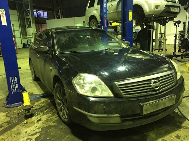 ������ ���� Nissan Bluebird