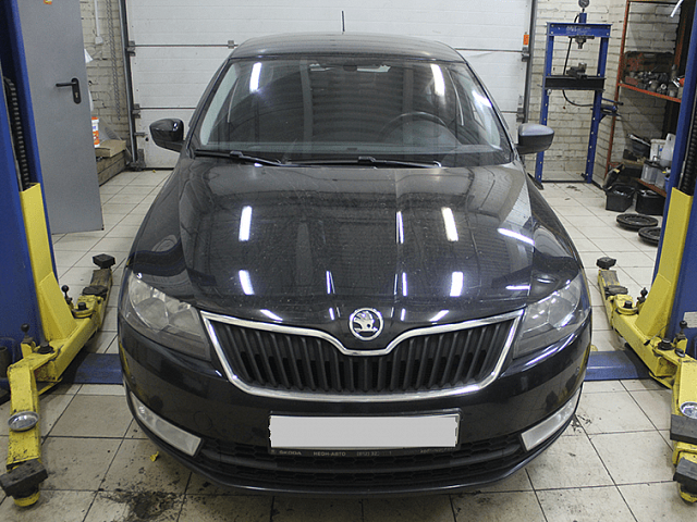 ������ ���� Skoda Fabia